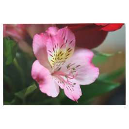 Hermoso Metal Wall Art メタルプリント