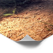 HERO AUDIE MURPHY GRAVE – アーリントン ポスター (角)