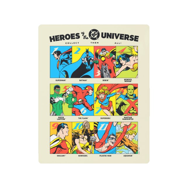 Heroes of the DC™ Universe メタルプリント (正面)