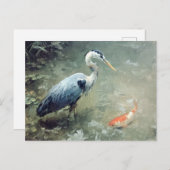 Heron and Vibrant Koi Fish ポストカード (正面/裏面)