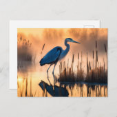 Heron in a Misty Marsh at Sunrise ポストカード (正面/裏面)