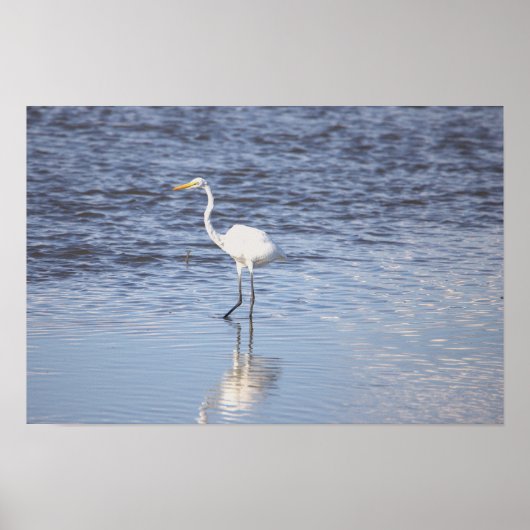 Heron in the Water Poster ポスター (正面)