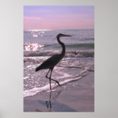 Heron on a Stroll ポスター (正面)
