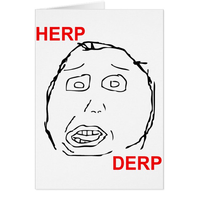 Herp Derp Herp Derping (正面)