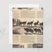 Herringの特許チャンピオンサフェス ポストカード (正面/裏面)