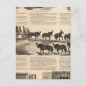 Herringの特許チャンピオンサフェス ポストカード (正面)