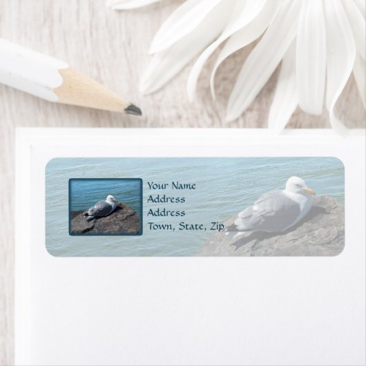 Herring Gull Staying on Rock Jetty: ラベル (インサイチュ)