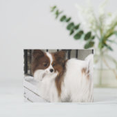 Hersheyのキスの英雄の犬小屋の商品 ポストカード (スタンド正面)