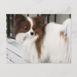 Hersheyのキスの英雄の犬小屋の商品 ポストカード