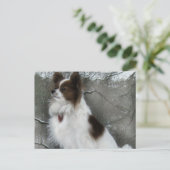 Hersheyのキスの英雄の犬小屋の郵便はがき ポストカード (スタンド正面)