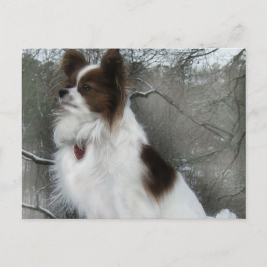 Hersheyのキスの英雄の犬小屋の郵便はがき ポストカード (正面)