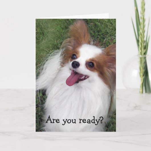 Hersheyのキスの英雄のMadiの商品 カード (正面)