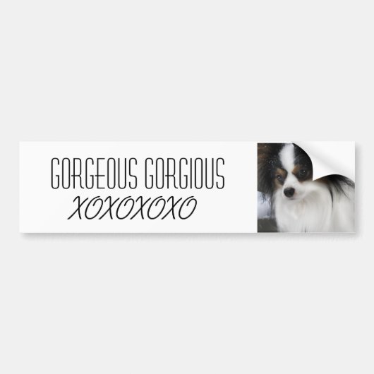 Hersheyのキスの英雄Merch バンパーステッカー (正面)