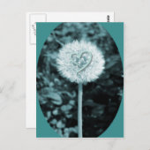 Herzのblumeのハートの花 ポストカード (正面/裏面)