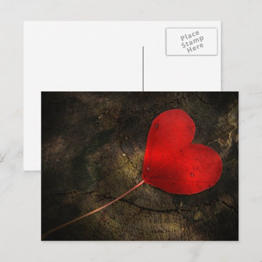 Herzblatt ポストカード (正面/裏面)