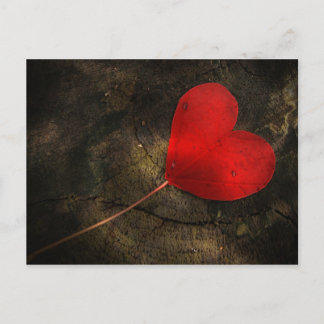 Herzblatt ポストカード