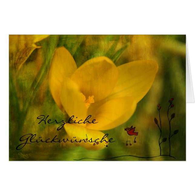 Herzliche Glückwünsche (正面横)