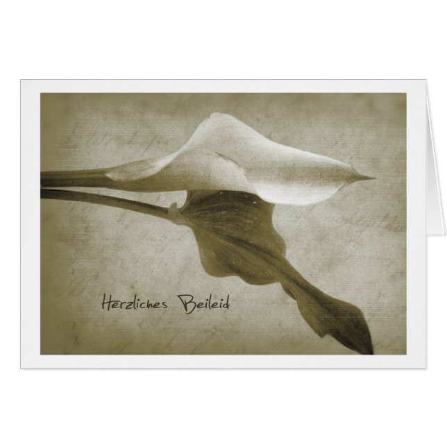 Herzliches Beileid (正面横)