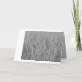 Herzliches Beileid ! カード (裏面)