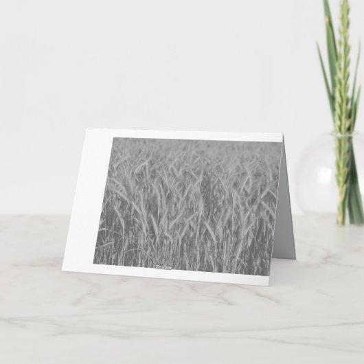 Herzliches Beileid ! カード (裏面)