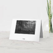 Herzliches Beileid ! Grüner Wald カード (裏面)