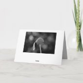 Herzliches Beileid ! Mit gelber Blüte カード (裏面)