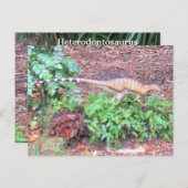 Heterodontosaurus – 恐竜学のカード ポストカード (正面/裏面)