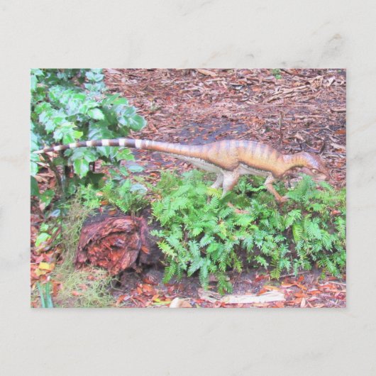 Heterodontosaurus – 恐竜学のカード ポストカード (正面)