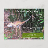 Heterodontosaurus – 恐竜学のカード ポストカード (裏面)