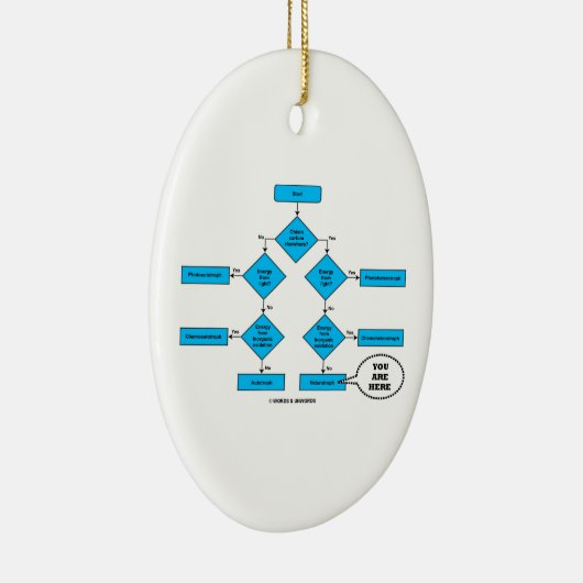 Heterotrophのフローチャート生物学のユーモアここにいます セラミックオーナメント (右)