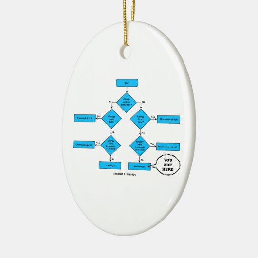 Heterotrophのフローチャート生物学のユーモアここにいます セラミックオーナメント (左)