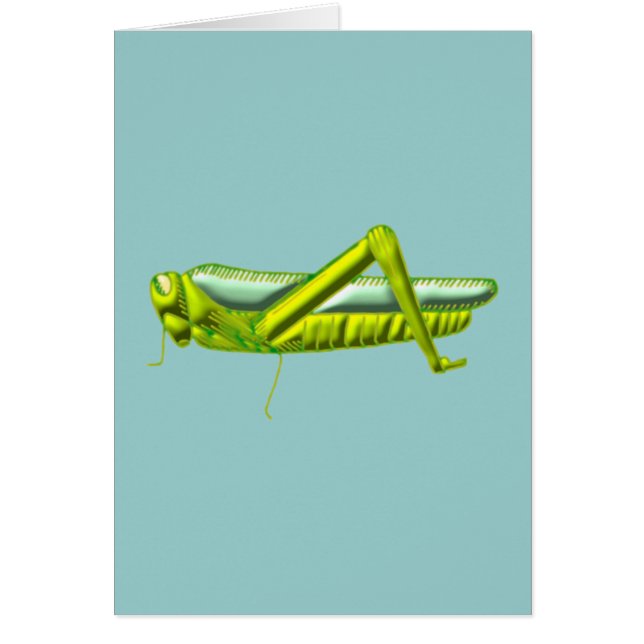 Heuschrecke grasshopper (正面)