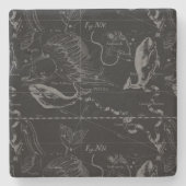 Heveliusによる魚座の星座の地図1690 ストーンコースター (正面)