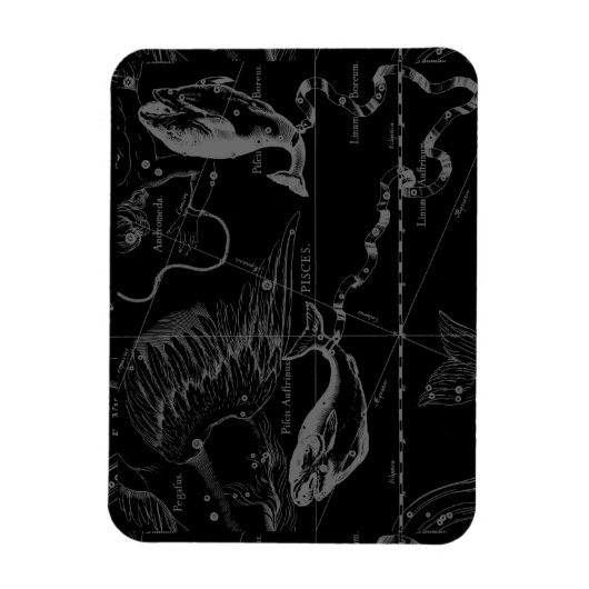 Heveliusによる魚座の星座の地図1690 マグネット (縦)