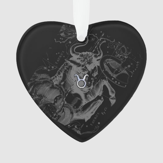 HeveliusのTaurusのようなクロム オーナメント (正面)