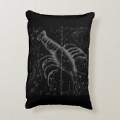 Hevelius上のクロムのような癌の〔占星術の〕十二宮図のサイン アクセントクッション (裏面(縦))