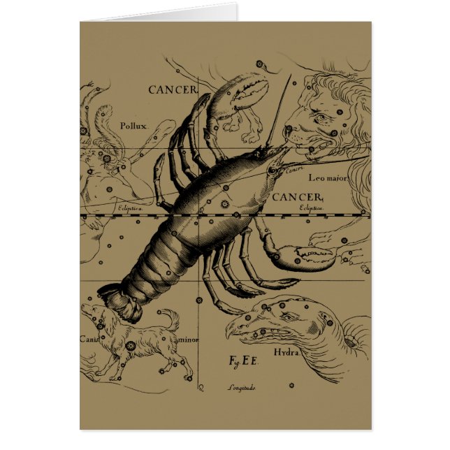 Hevelius 1690によるがん〔占星術の〕十二宮図星座 (正面)