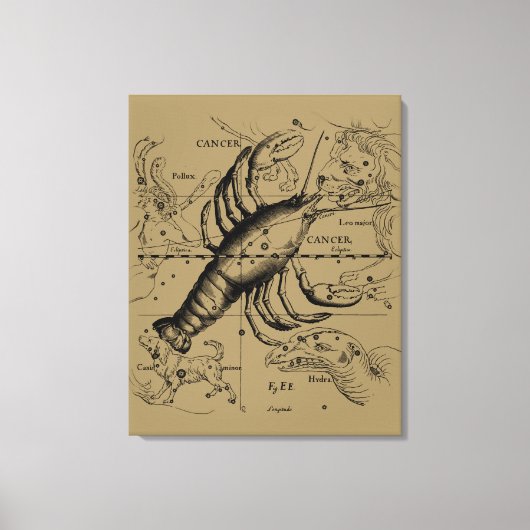 Hevelius 1690によるがん〔占星術の〕十二宮図星座 キャンバスプリント (正面)
