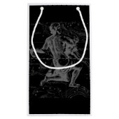 Hevelius 1690のクロームのようなアクエリアス〔占星術の〕十二宮図サイン スモールペーパーバッグ (裏面)