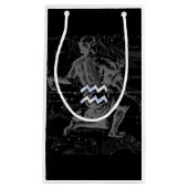 Hevelius 1690のクロームのようなアクエリアス〔占星術の〕十二宮図サイン スモールペーパーバッグ (正面)