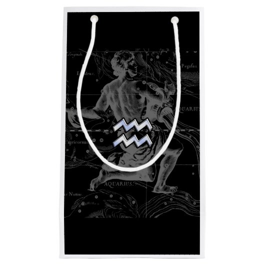 Hevelius 1690のクロームのようなアクエリアス〔占星術の〕十二宮図サイン スモールペーパーバッグ (正面)