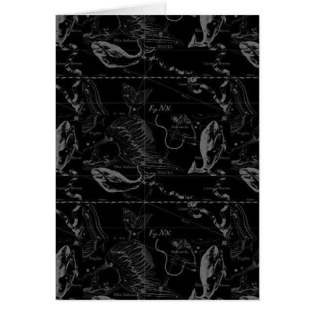 Hevelius 1690年著魚類の星座の地図 (正面)