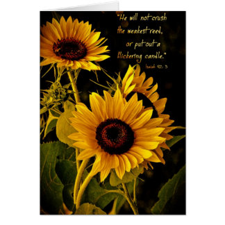 HewillnotcrushtheweakestreedZazzle