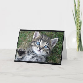 "Hewwo"の子猫 カード