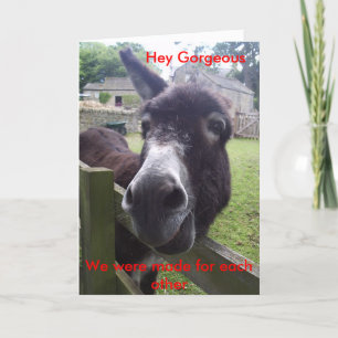 , Hey Gorgeous, シーズンカード