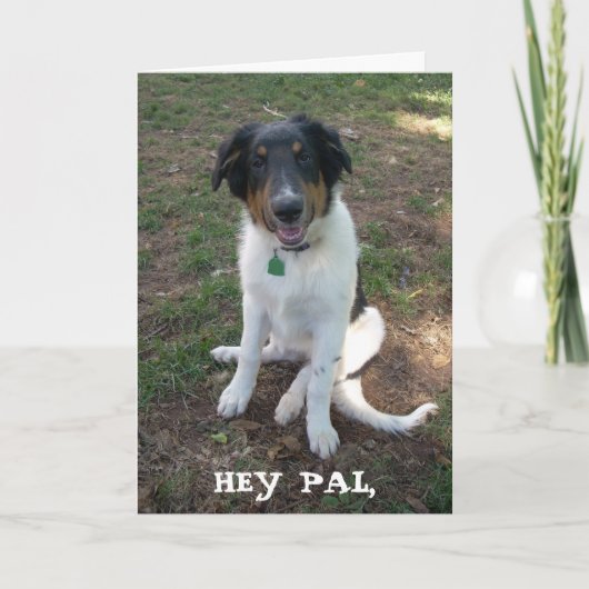 HEY PAL、ハッピーバースデー カード (正面)