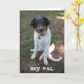 HEY PAL、ハッピーバースデー カード (黄色い花)