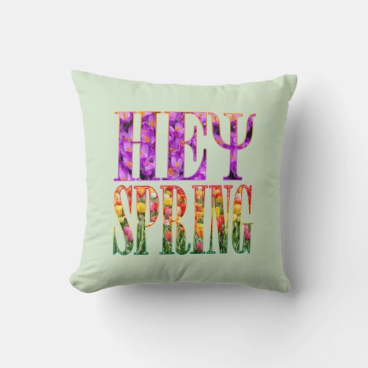 hey spring クッション (正面)