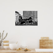 HH-46シーナイト~米国軍隊ヘリコプター ポスター (キッチン)