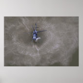 HH-60ホークを舗装 ポスター (正面)